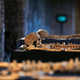 In this Wednesday, March 26, 2014 photo, some of the skeletons found by construction workers under central London’s Charterhouse Square are pictured. Archaeologists immediately suspected the bones came from a cemetery for victims of the bubonic plague that ravaged Europe in the 14th century.